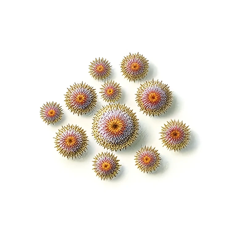 Biotuner, its pollen