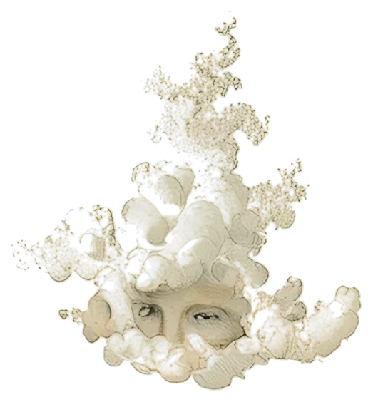 Divergent perception, the whole specimen
