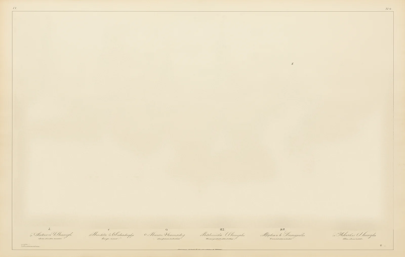A taxonomy plate of clouds, some hiding faces.