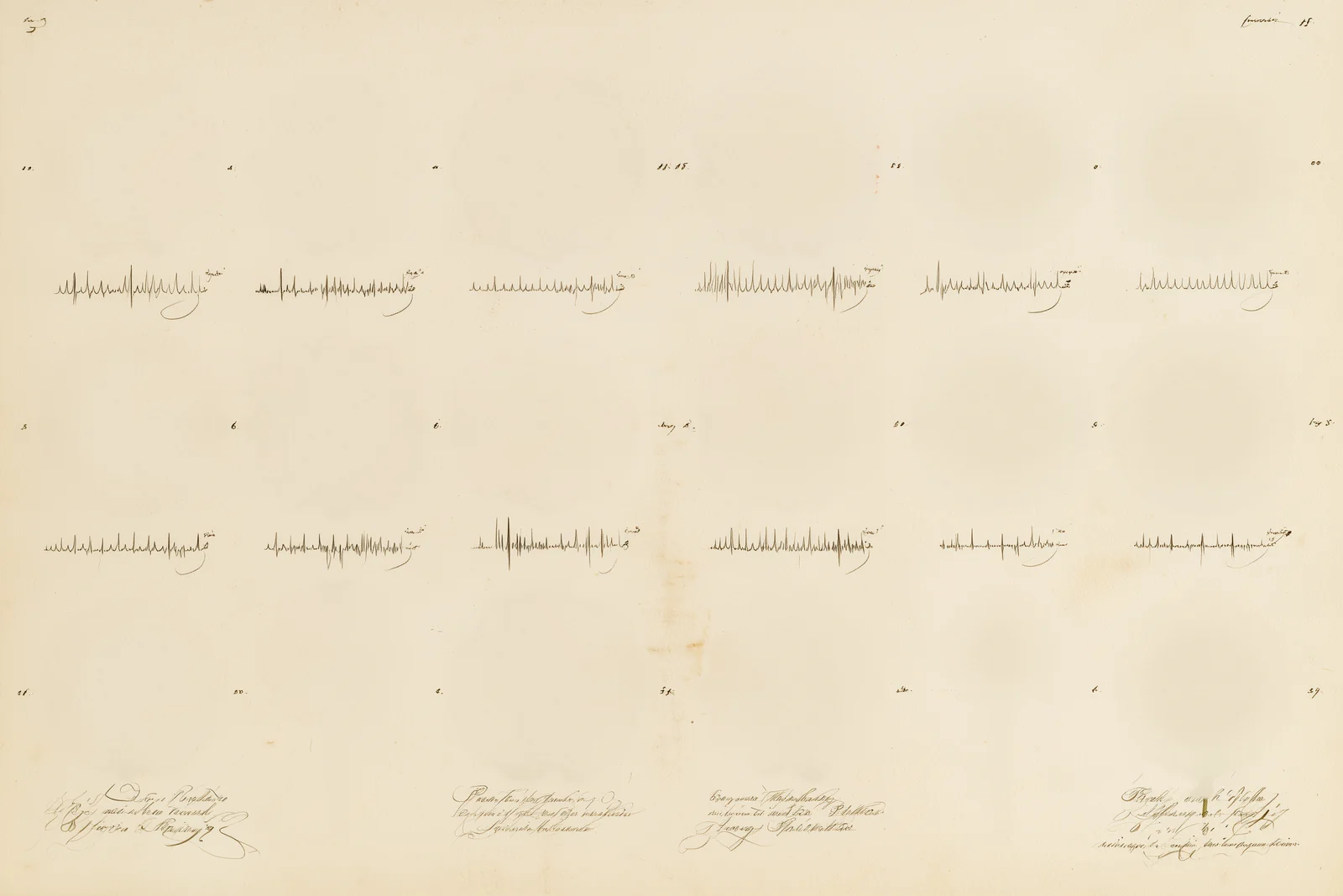 A specimen plate of flowers grown from sand on vibrating plates, each above its waveform.